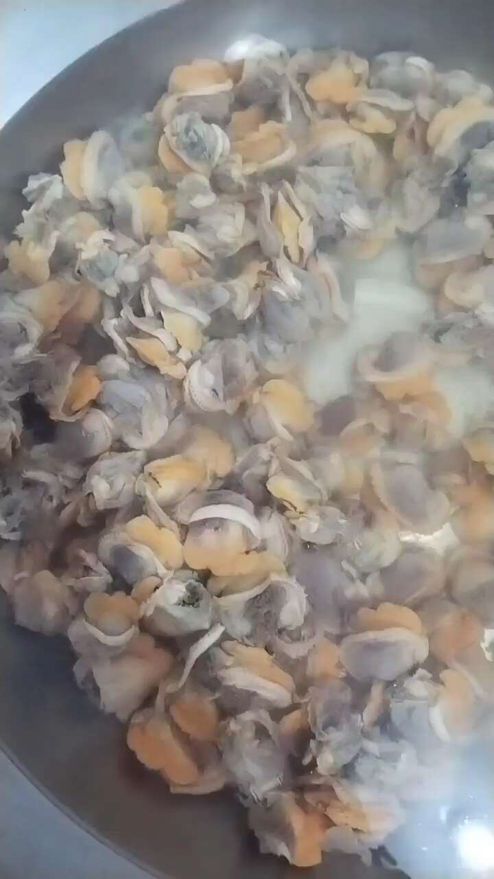 蚬子