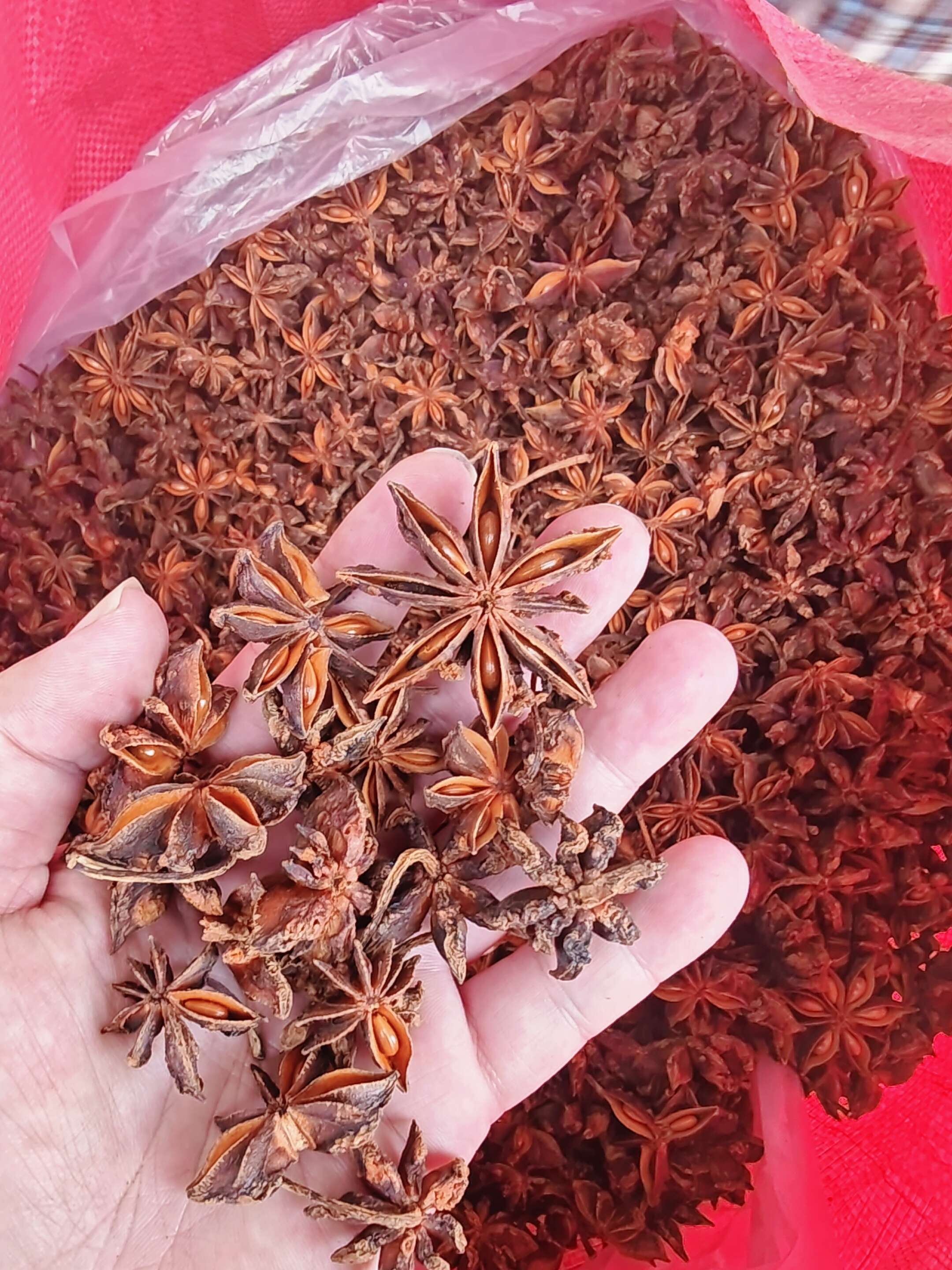 富八桂