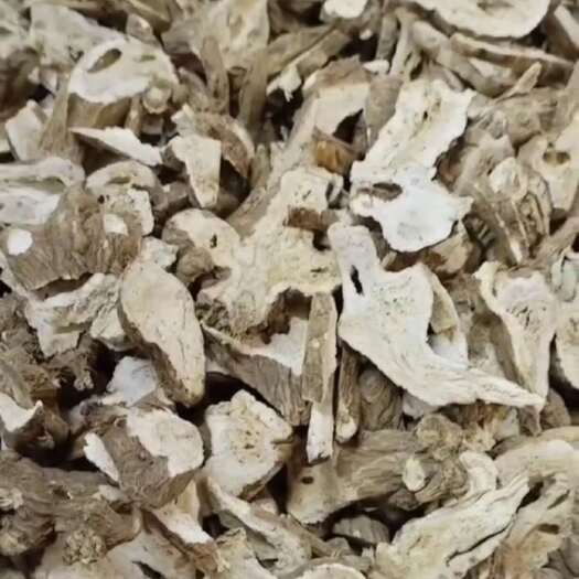 成都白术