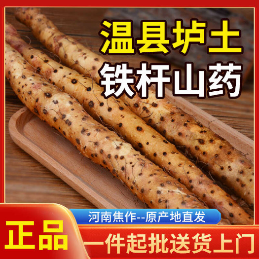 新挖/河南焦作市温县垆土铁棍山药新鲜地道铁杆山药怀山药淮山药