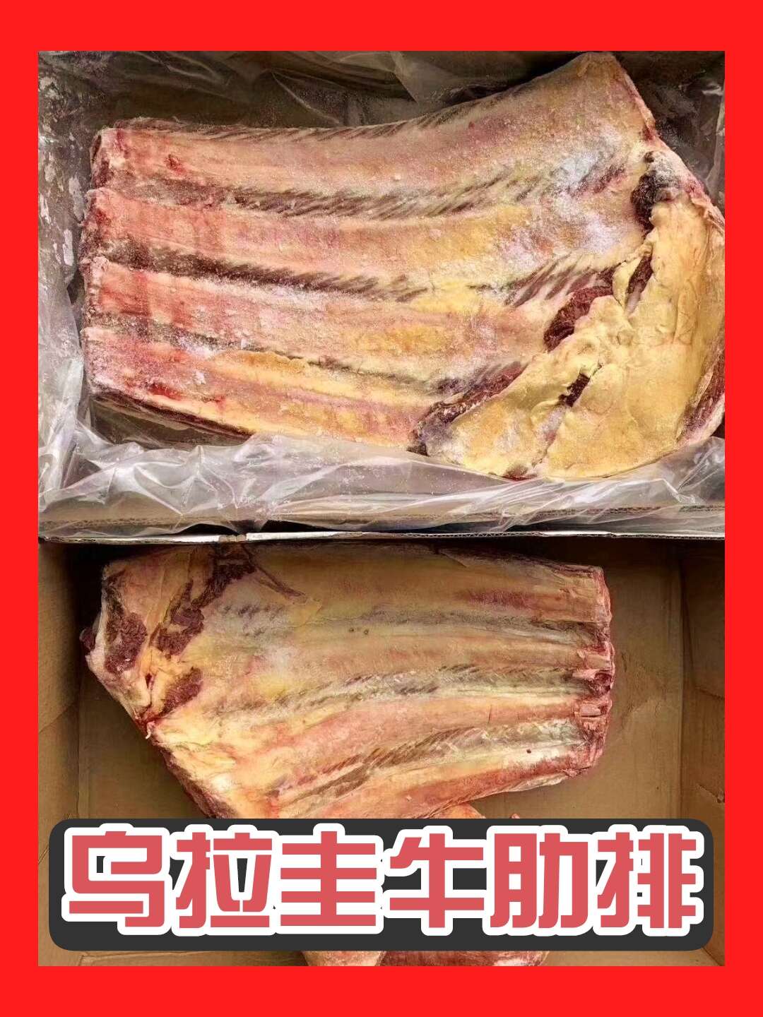 冷冻带骨牛肉 牛肋排 上海宝山发货 鲜嫩可口 牛肉优选