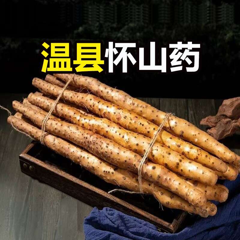 溫縣秀梅鐵棍山藥種植戶