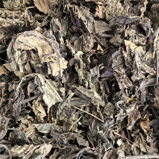 中药材正品板蓝根叶 干大青叶精选无硫 大青叶茶