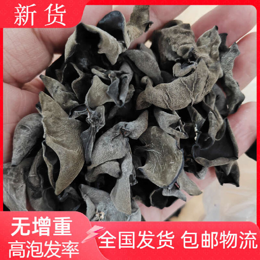 鲁山县高泡发无增重 包邮东北黑木耳干货 秋耳小碗耳黑厚无根口感脆爽