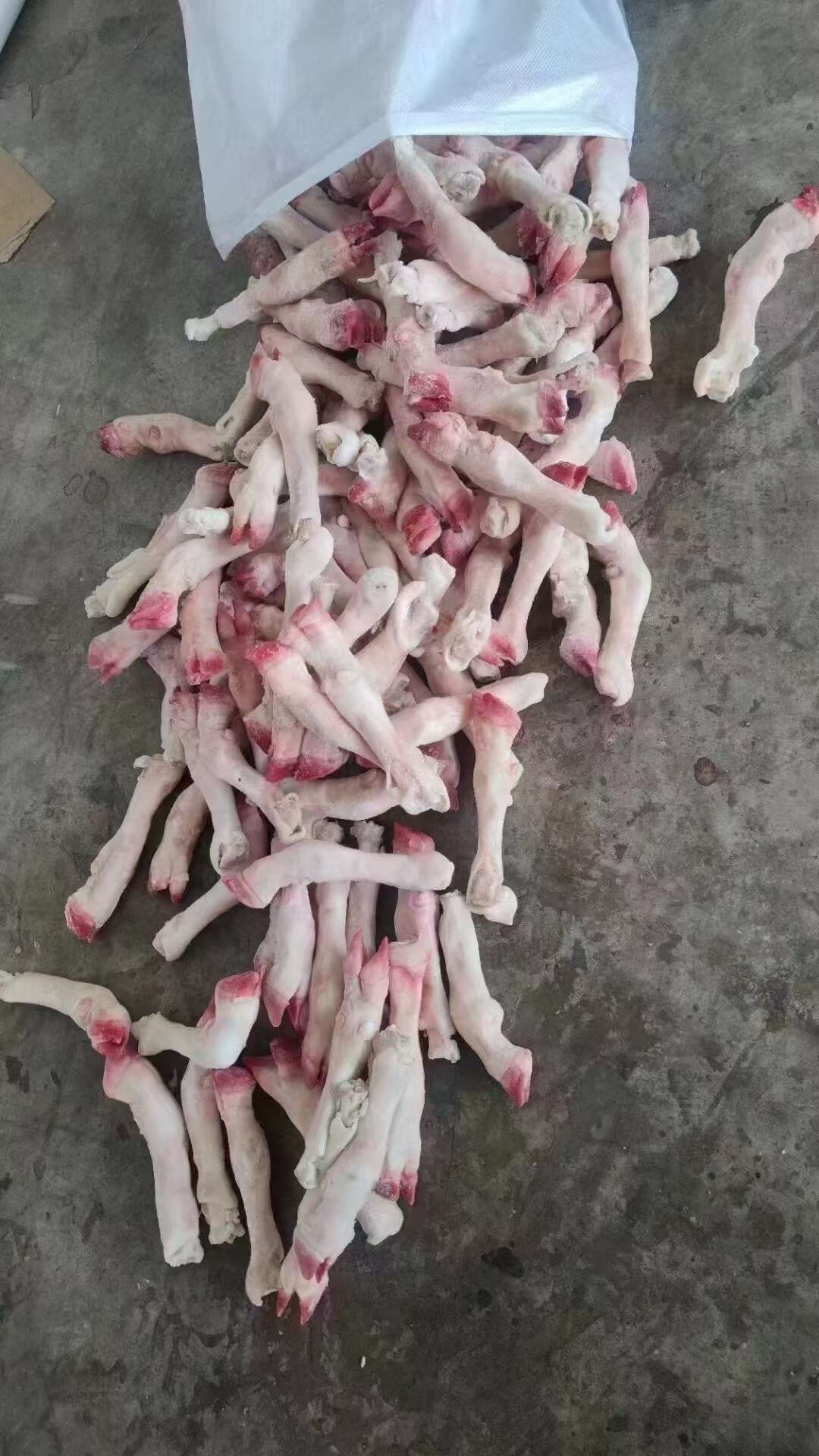 育肥白蹄，一斤3-4个小号羔羊蹄