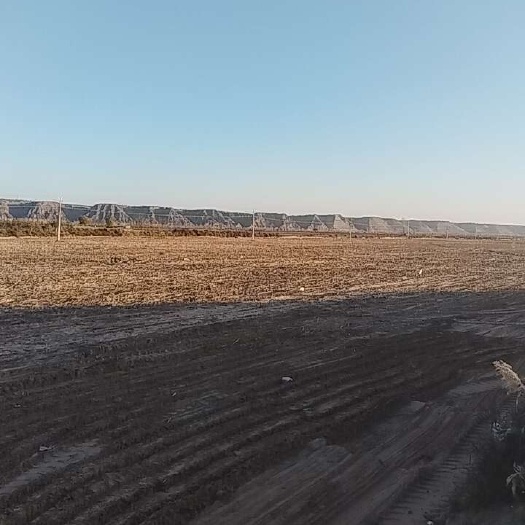 水浇地，水电齐全