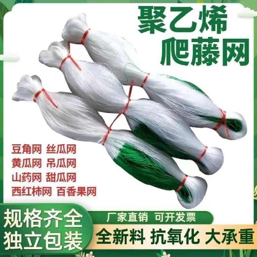 无棣县爬藤网各类山药豆角扁豆不老豆豌豆四季豆攀爬网种植网豆角加粗线