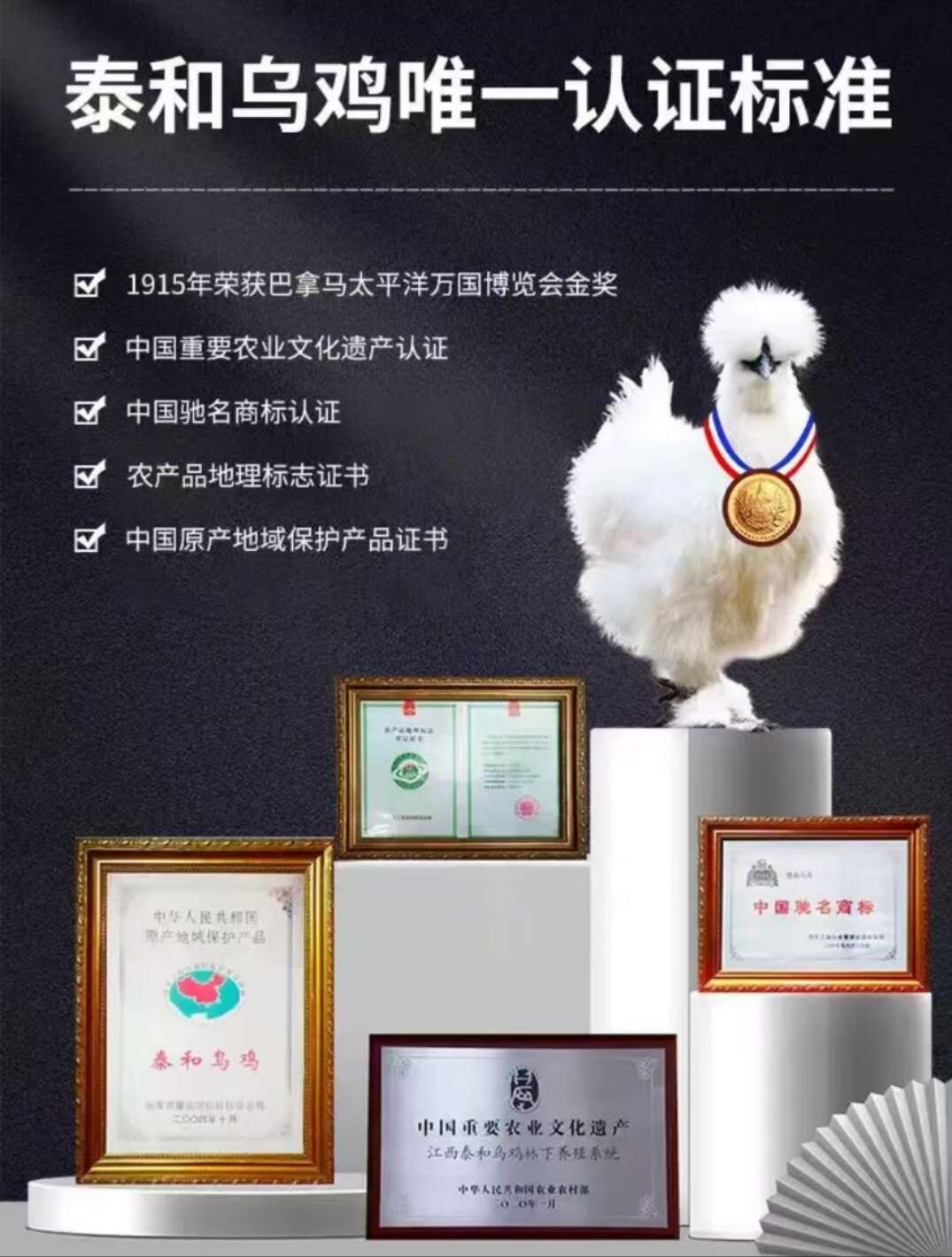泰和烏雞養(yǎng)殖基地