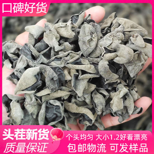 【可分装小袋】黑厚碗耳可代发 东北黑木耳干货秋木耳均匀无碎片