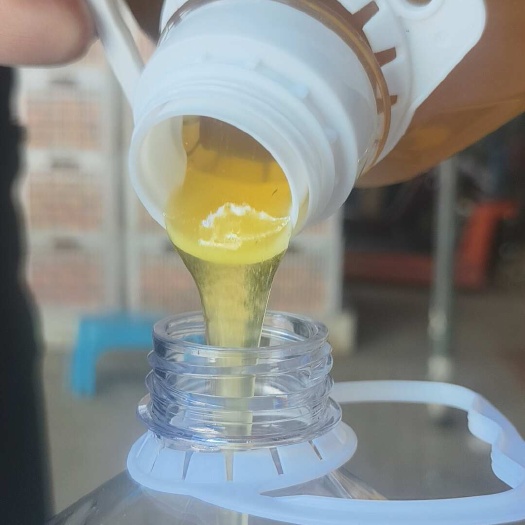 寻乌县江西赣南 中华蜂土蜂 百花蜜24个月保质期 新鲜包装