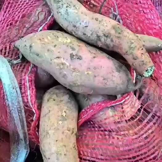 沈阳物美价廉