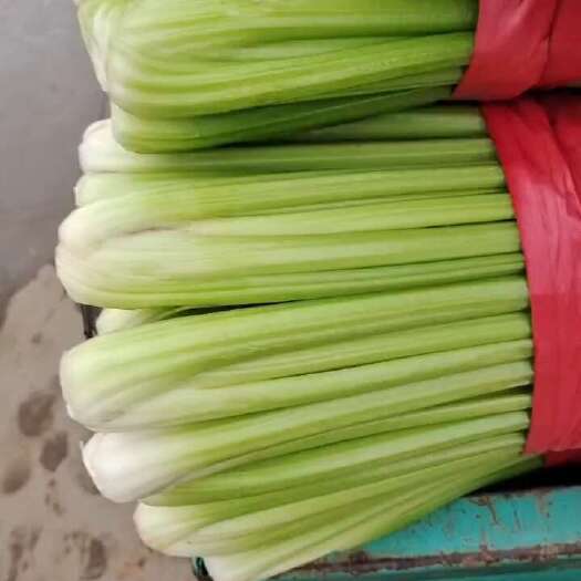 邯郸西芹