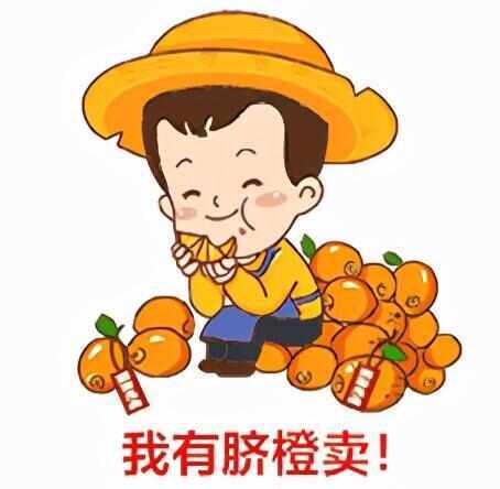 当阳市纽何尔脐橙，产地大量供应，口感纯甜无酸，好货不多