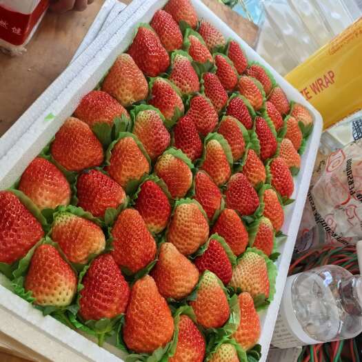 永仁县精品精品