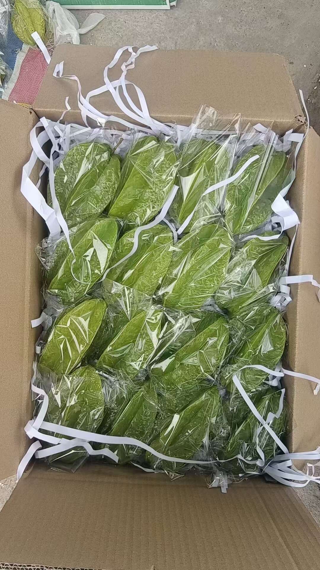 河唇甜杨桃成熟季又到抢货节奏