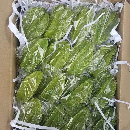 廉江市河唇甜杨桃成熟季又到抢货节奏
