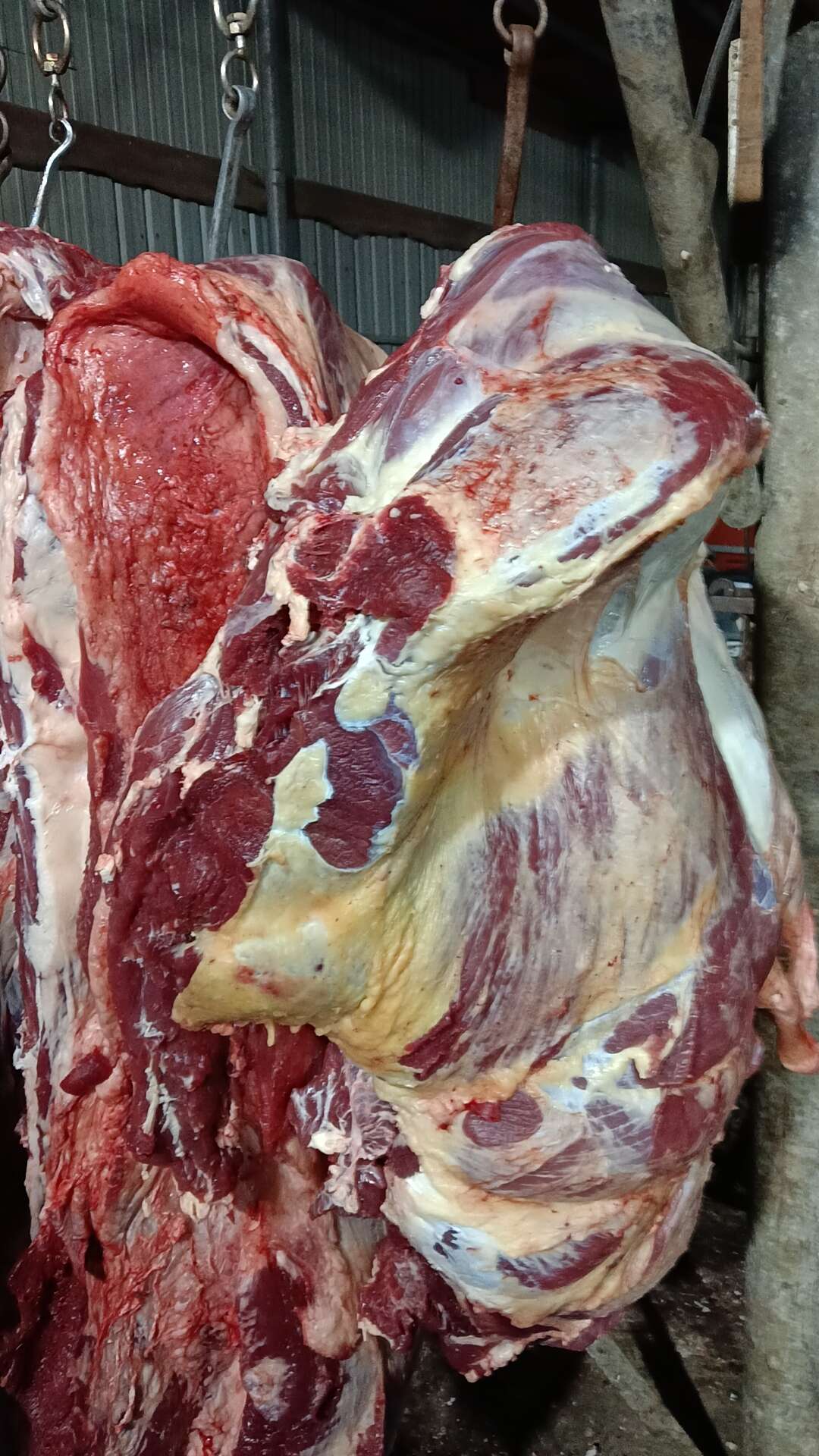 鴻遠(yuǎn)清真牛羊肉副產(chǎn)品