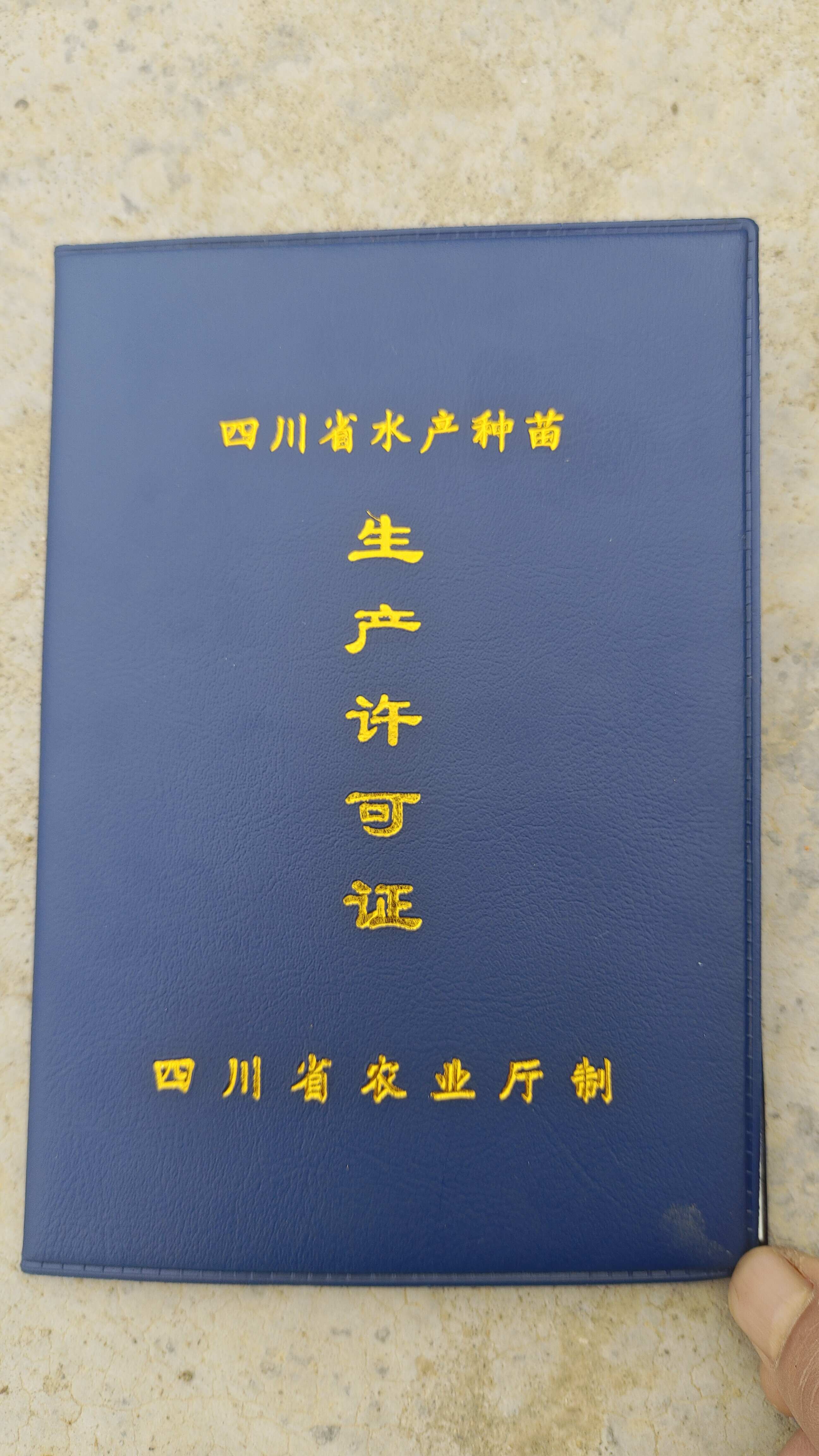 吉瑞達魚苗養(yǎng)魚場