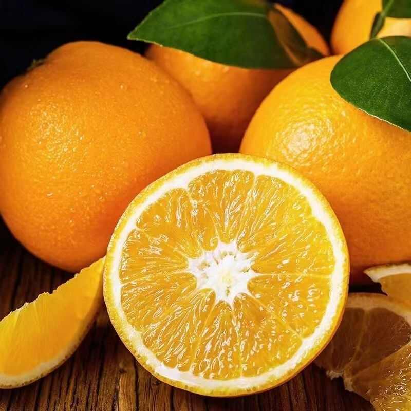 阿平贛南臍橙種植戶