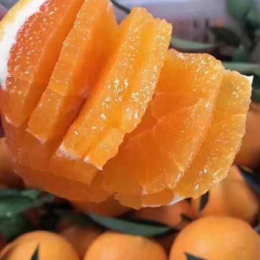 秭归县秭归红橙，鲜甜多汁，甜蜜诱惑，味美回甘。天然，好品质！