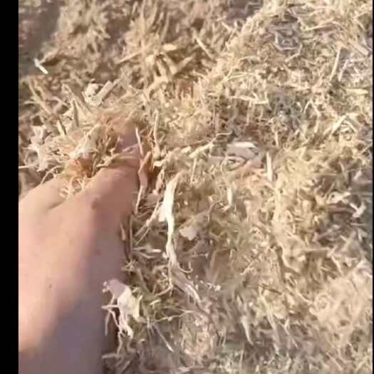 洮南市白城柔丝玉米秸秆小方包无土无膜无霉变