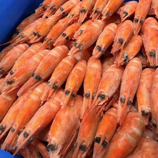 北极虾