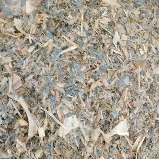 广平县玉米秸秆黄贮