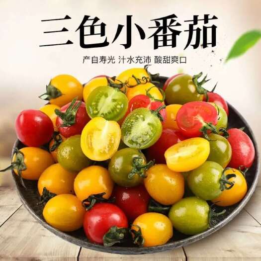 寿光市拼色小番茄，圣女果直供