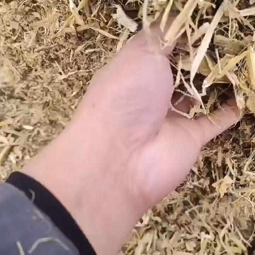 玉米秸秆柔丝干草
