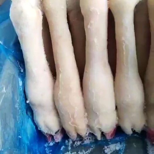 临沂羊蹄纯干无冰，精修