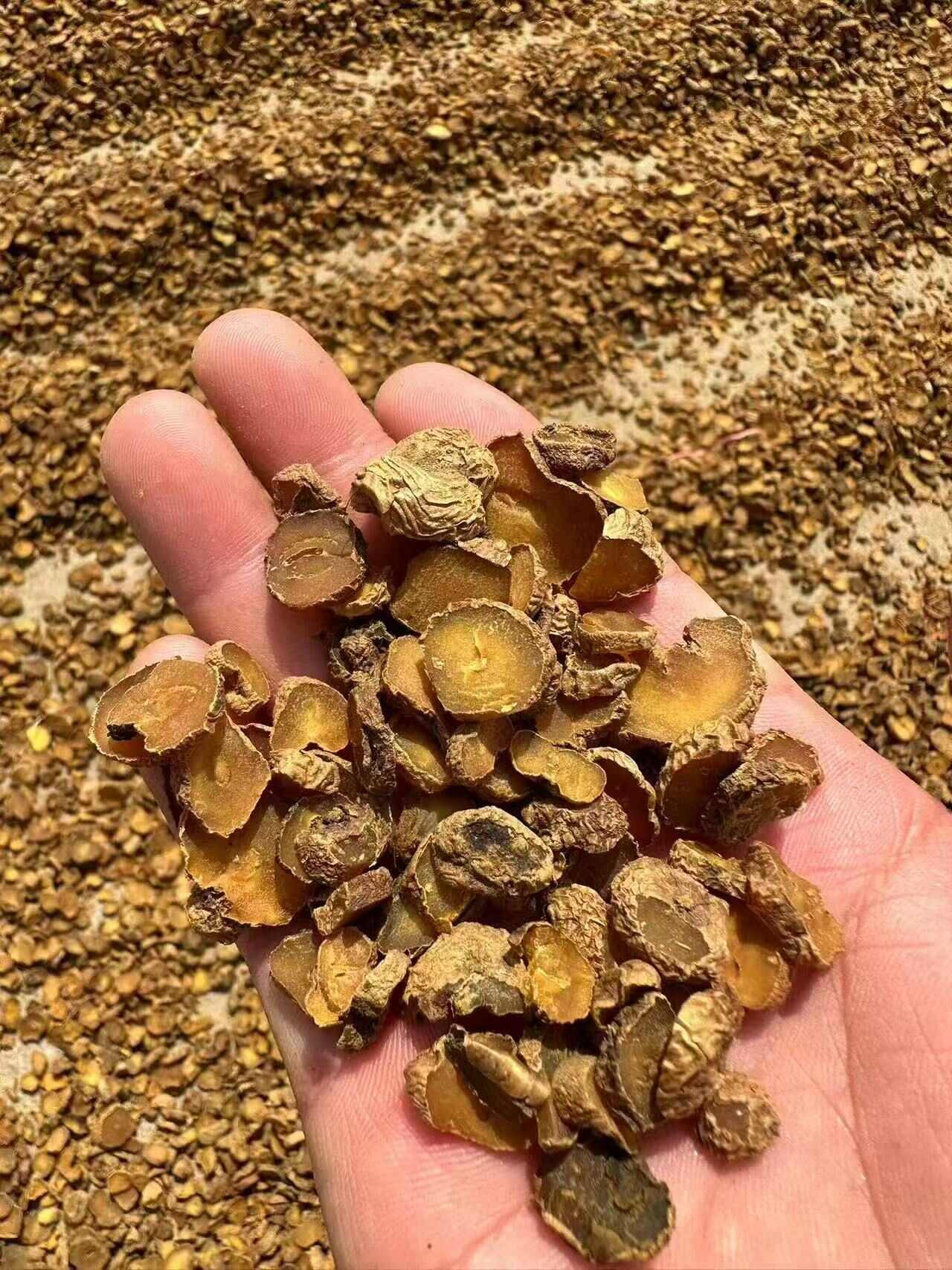 汉中货：大量现货供应元胡、元胡片、天麻片等