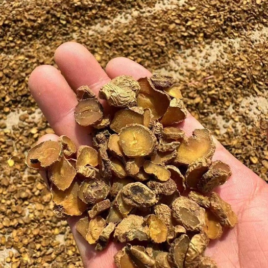 汉中货：大量现货供应元胡、元胡片、天麻片等