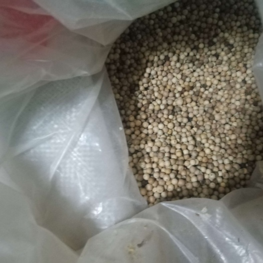 东莞市黑白胡椒各种香辛料