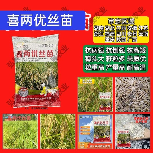 早中晚稻种子，再生稻双国审香米国家一级米国审大穗杂交水稻种子