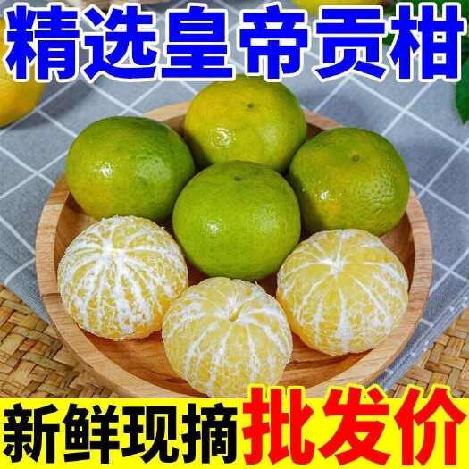 玉林【一件代发5斤9元】广西皇帝柑代发
