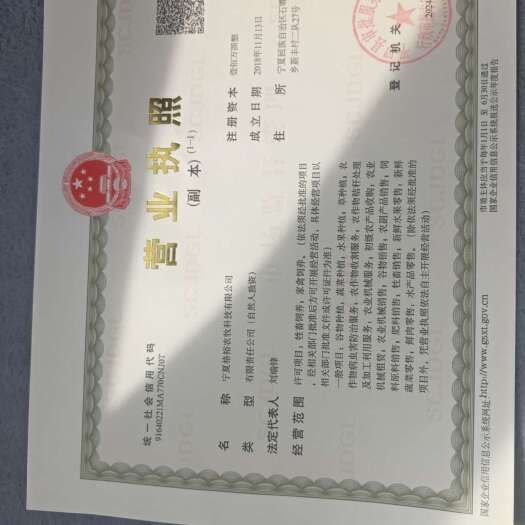 平罗县黄芪