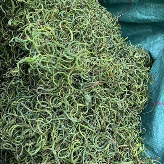 贡山县云南怒江特产化石草中药材全草类贡山原产地直供