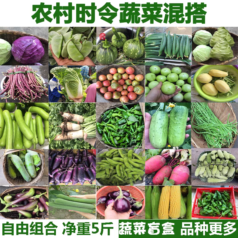 眾望所歸鮮蔬菜基地