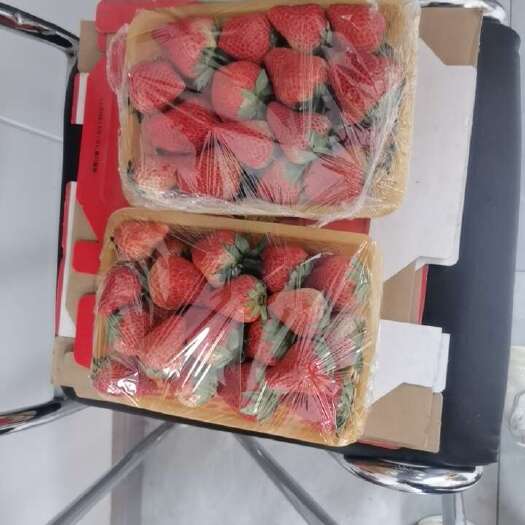 长丰县长丰红颜草莓
