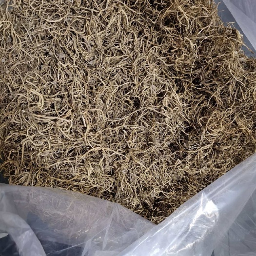 清原县北龙胆草二年生清原县龙胆之乡产