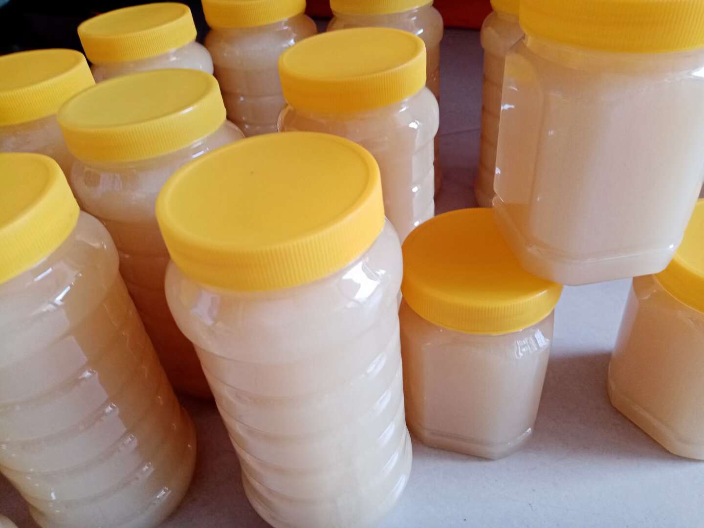 广西梧州蒙山鸭脚木蜜 全新冬蜜营养滋补 不代替药物 农副产品