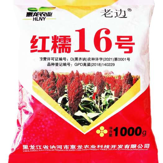 讷河市高粱种子矮秆酿酒专用红高粱种子红糯16号1公斤装包邮