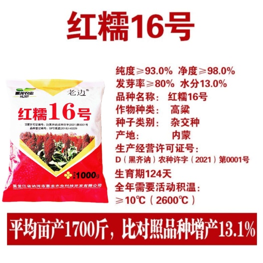 甘南县高粱种子批发  红糯16号  农作物种子许可证 包装正品保证