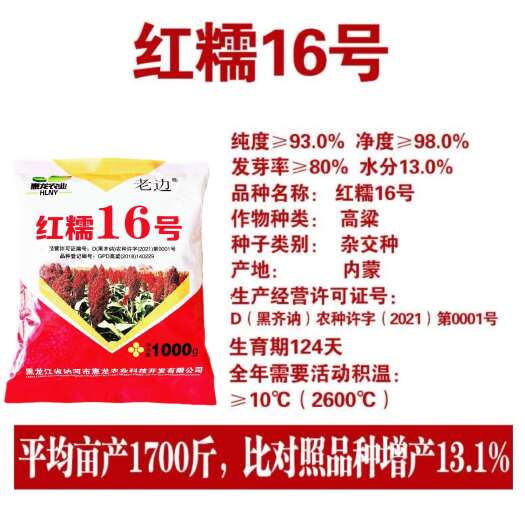 甘南县高粱种子红糯16号高粱种子农作物种子生产经营许可