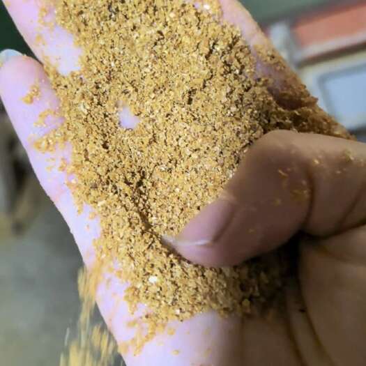 石家庄玉米酒糟，蛋白26，可代替豆粕降低成本，适用于牛羊养殖场饲喂