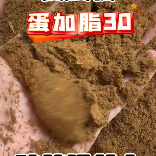 北京高蛋白纯纯餐厨粉，四川，北京，上海，广州餐厨垃圾处理厂发货
