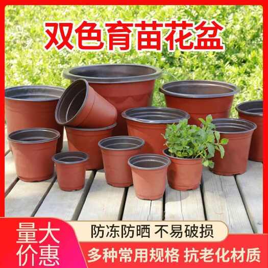 故城县一次性营养杯双色花盆育苗盆简易花盆培育花盆种植盆一次性育苗盆