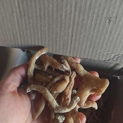 清原县鸡头黄精干货