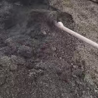 金堂县发酵牛粪
