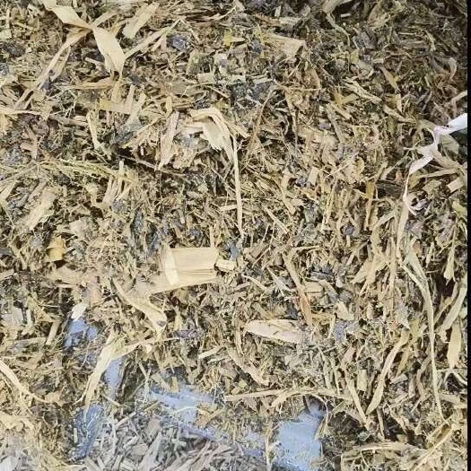 玉米秸秆黄储